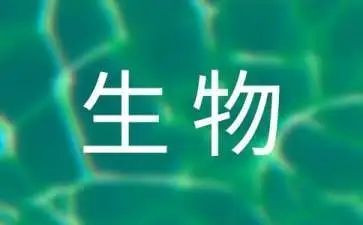 高中生物组教研工作计划7篇