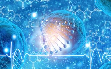 522生物多样性活动方案7篇