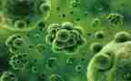 生物安全实验室自查报告7篇