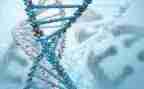 高中生物年终总结优质5篇