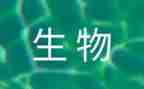 生物1对1教学反思参考5篇