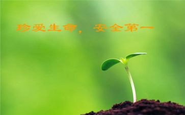 班级安全教育总结范文8篇