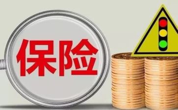 2024保险公司个人年终总结6篇