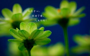 八月作文600字6篇