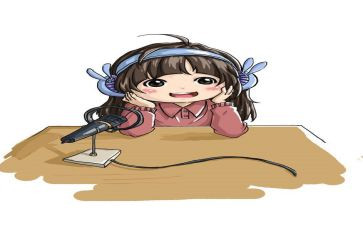 2024年播音员年终总结模板8篇