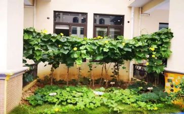 介绍湘菜作文优秀7篇