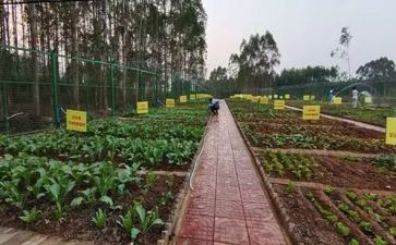湘菜教学培训心得体会6篇