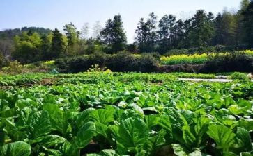 湘菜教学培训心得体会参考6篇