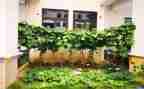 介绍湘菜作文优秀7篇