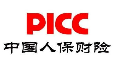 2024年财险公司工作总结7篇