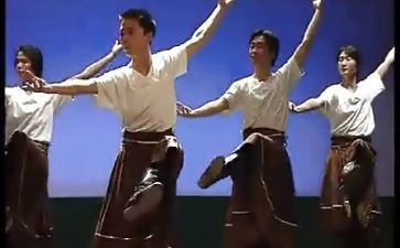 学习藏舞的心得体会5篇