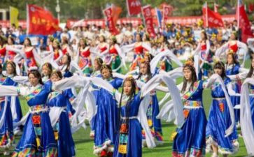 学习藏舞的心得体会优质5篇