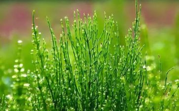 2024年烟草年终个人总结6篇