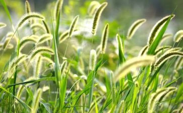 烟草述职述廉报告6篇