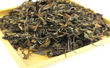茶艺展活动总结5篇