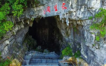 《我的“长生果”》教案推荐6篇