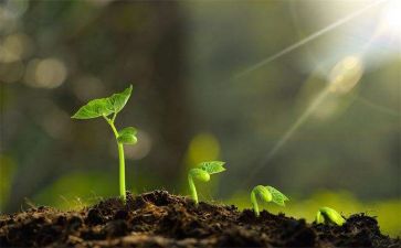 我这样成长作文7篇