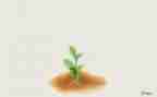 成长励志作文7篇