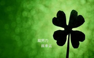 专注与成功作文5篇