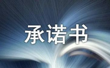 生命的承诺作文5篇