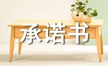 投标售后服务承诺书6篇