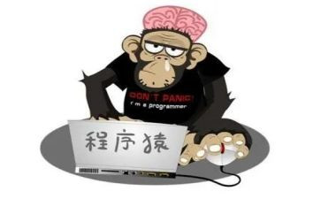 程序员日工作计划精选5篇