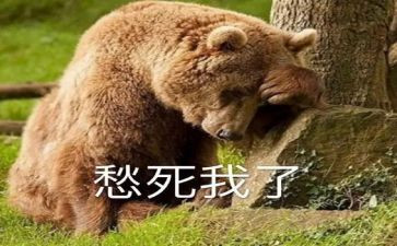 乡愁的作文通用7篇