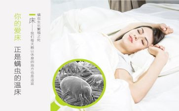 除螨活动方案策划推荐6篇