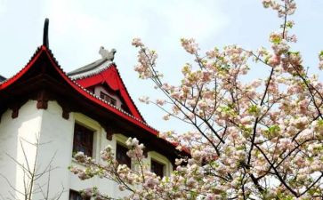 川大销售培训心得体会推荐5篇