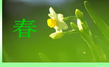 我春天作文100字推荐5篇