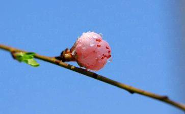 幼儿园春期末工作总结精选8篇