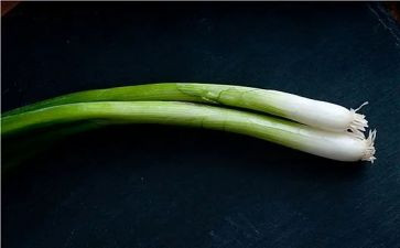 中班科学葱和蒜教案优秀7篇