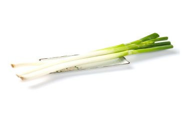 大班科学葱和蒜教案优秀7篇