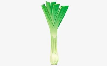 大班科学葱和蒜教案5篇