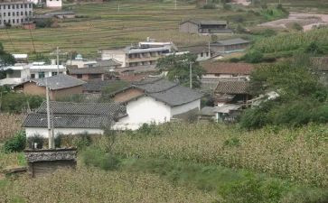 村社区工作的心得体会7篇