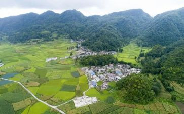 村会计个人总结范文模板8篇