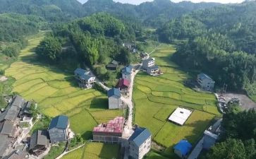 大学生村官心得体会优秀7篇