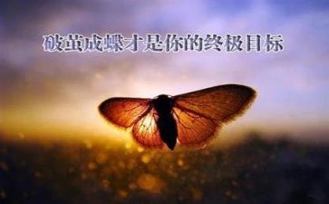 面对挫折的作文参考5篇