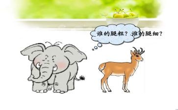 比较粗细幼儿教案8篇