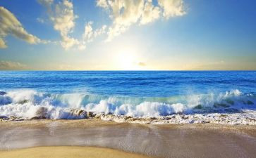 关于去大海的作文参考8篇