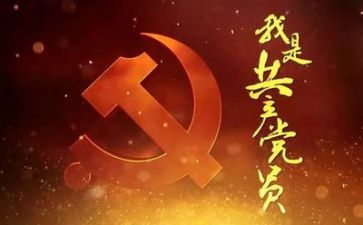 党站工作总结范文模板推荐8篇