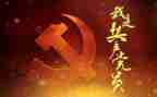 党心得体会300字精选7篇