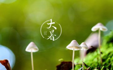 大暑节气的教案6篇