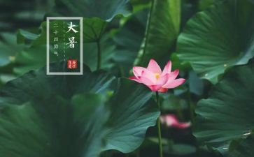 大暑节气活动方案5篇