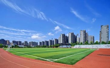 新入大学心得体会7篇