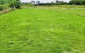 工作总结地产销售范文推荐5篇