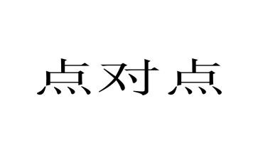 点对点汇报总结通用7篇