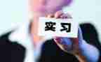 顶岗实习工作个人总结优秀6篇