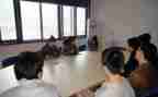 顶岗报告总结精选5篇