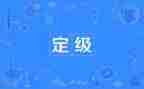 转正定级表工作总结7篇